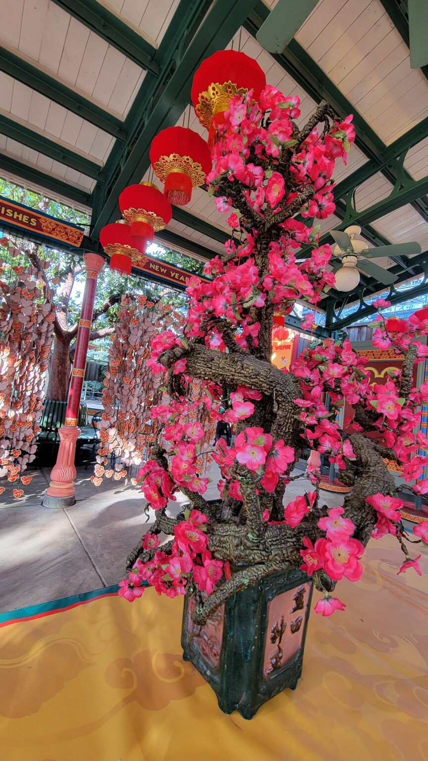 What Holidays Does Disneyland Decorate For Disneyland Tips