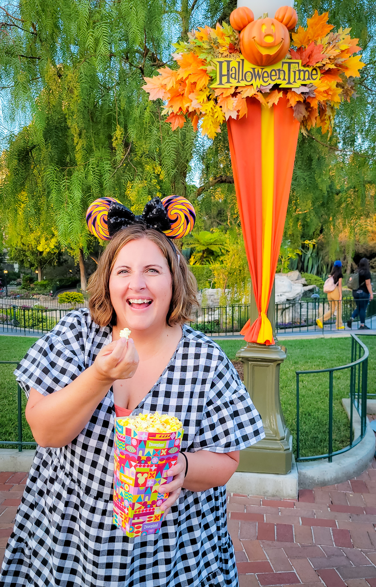 What Holidays Does Disneyland Decorate For Disneyland Tips