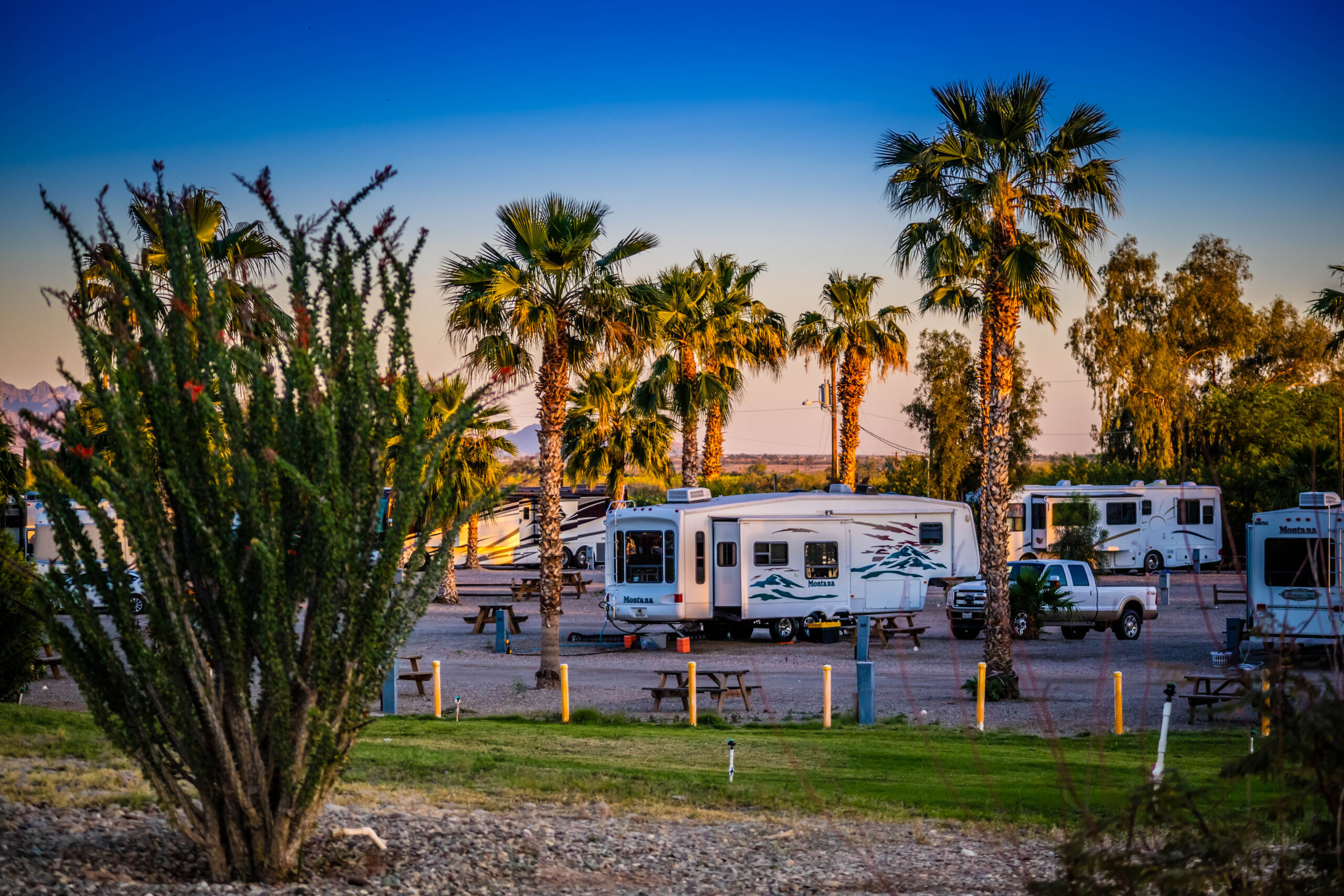 Camping trailers at campsites with palm trees around.