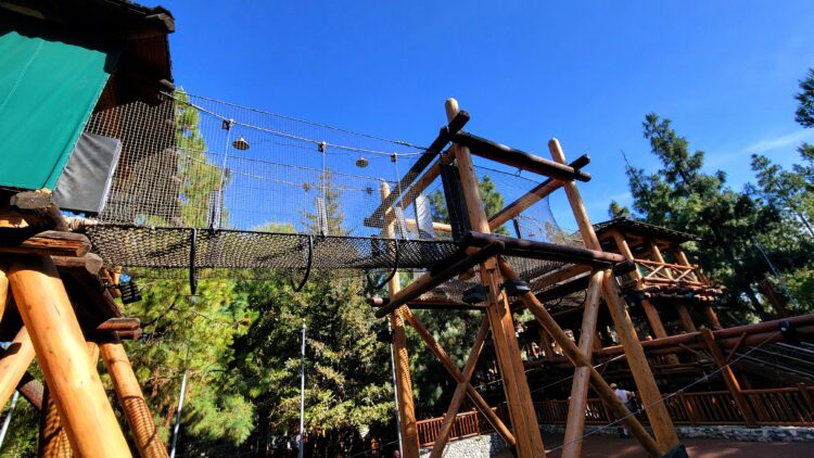 Shot looking up at rope bridges, and towers within Redwood Creek Challenge Trail at California Adventure.